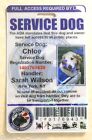 HOLOGRAPHIC PVC SERVICE DOG ID BADGE SERVICE ANIMAL ID CARD ADA TAG FOR VEST #0H