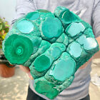 4.54LB Large Natural glossy Malachite transparent cluster rough mineral sample.