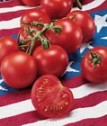 42 Day tomato Seeds - Fastest Tomato in the World to Ripen ----------  30+ Seeds