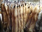Tanned #1 Red Fox Hides/Furs/Trapping/Taxidermy/Crafts/Freshly tanned/USA furs