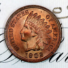 * 1902-P * SOLID+ GEM BU MS INDIAN HEAD PENNY * FROM ORIGINAL COLLECTION