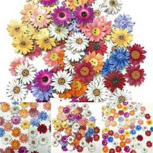 50Pcs Lots Wooden Buttons Sewing 2-holes Scrapbooking Button Crafts Flower Shape