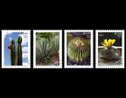 Brasil 2022 Fauna and Flora - Succulents - MINT