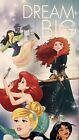 Disney Princess Collage DREAM BIG Canvas Wall Art Hanging  20in x 8in Preowned