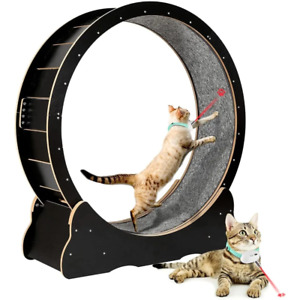 New ListingCat Exercise Wheel for Indoor Cats Pets Easy Assembled Cat Treadmill Wheel with