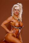 Amber Lynn - Glamour Model - Art Nudes 100x 6x4