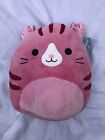 Squishmallows Geraldine The Scottish Fold Cat Brand New With Tags Big 12 Inches