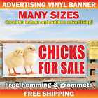 CHICKS FOR SALE Advertising Banner Vinyl Mesh Sign Sold Farm Eggs Baby Chickens