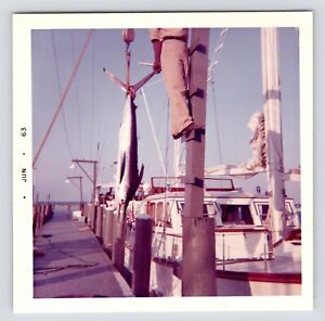 New Listingc1960s Fisherman with Marlin Catch Sailboat Docks Vintage Photos