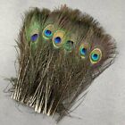 10-100Pcs Natural Peacock Feathers Eyes 25-45CM/10-18Inch DIY Wedding Home Plume