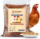 10lbs Bulk Dried Mealworms - Premium Non-GMO Organic Chicken Feed, Nutritious...