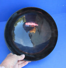 10 inch Polished Cow/Buffalo horn Bowl from India taxidermy # 47752