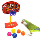 Pet Bird Chew Toys Parakeet Parrot Basketball Hoop Prop Trick Prop Balls-'h