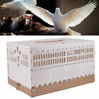 Bird Pigeon Cage Poultry Training Carrier Basket 2 Side Doors Portable Foldable