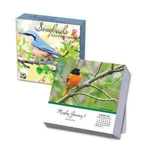 Turner Songbirds 2024 Daily Boxed Calendar w