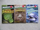 I Can Read Level 2 : Amazing Snakes / Gorillas / Dolphins Lot 3 NEW Paperbacks