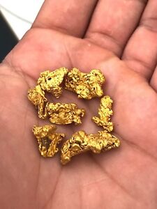 5 pounds bulk sample bag! UNSEARCHED PAYSTREAK gold paydirt!  LOADED WITH GOLD