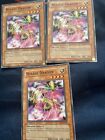Yu-Gi-Oh! TCG Mirage Dragon Rise of Destiny 1st Ed RDS-EN027 Unlimited Common LP