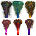DYED PEACOCK Feathers 30-45