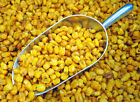 SweetGourmet Toasted and Salted Corn Kernels | Bulk Crunchy Snacks | 2 Pounds