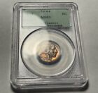 1913 Type 1 Buffalo Nickel — PCGS OGH MS63 Toned — (Has Not Been To CAC Yet)
