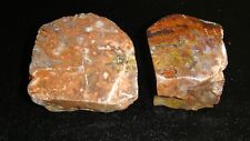 2 MOROCCAN AGATE FACE POLISHED SPECIMENS    2   POUNDS