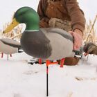 12 Avery Greenhead Gear Replacement Field RealMotion Stakes Goose Duck Decoys