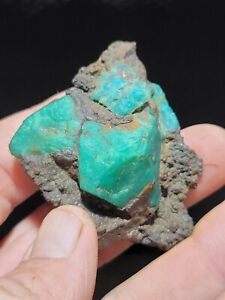 ☆Wild Microcline var. AMAZONITE  In a plate of ?Iron? 