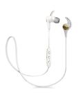 Jaybird X3 In-Ear Wireless Bluetooth Sports Headphones – Sweat-Proof (Sparta)