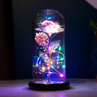Enchanted Crystal Flower Gift - Galaxy Rose in Glass Dome - Mother`s Day Gift