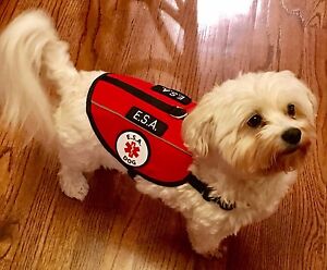 Service Dog Vest ESA Harness Emotional Support Animal Patches ALL ACCESS CANINE™