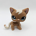 Littlest Pet Shop Cat #1170 Short Hair Brown Beige Swirl & Tail Blue Eyes LPS