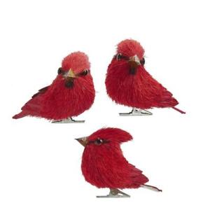 Red Cardinal Sisal Bird 3