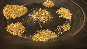 2 Lb NUGGET RESERVE ™ Gold Paydirt! Guaranteed unsearched + added Gold & Nugget
