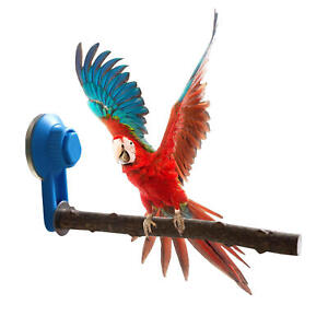 Parrot Perch Shower Stand Window Wall Suction Cup Natural Pepper Wood Perches