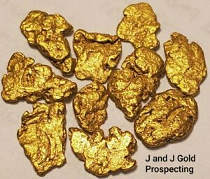10 Gold Nugget Pickers + **BONUS** FREE Crystalline SILVER Nuggets In Glass Vial