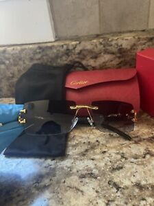 [NEW] Cartier  Rimless Sunglasses - Black