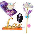 Real Dipped Rose 24k Gold Rose Portable Gold Dipped Rose Artificial Rose Flower