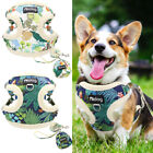 Pet Dog Harness and Leash Set with Treat Bag No Pull Warm Cat Puppy Walking Vest
