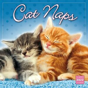 Sellers Publishing Cat Naps 2022 Wall Calendar w