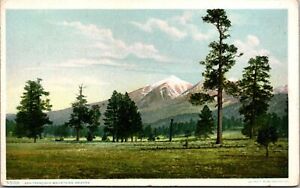 San Francisco Mountains Arizona North of Flagstaff Postcard 5508