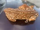 New ListingReal Deer Fawn Taxidermy Mount