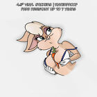 Space Jam - Lola Bunny | Sexy Lewd Cartoon JDM Vinyl Peeker Sticker Decal