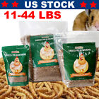 Bulk Dried Mealworms for chickens Birds Bluebirds Hamsters Hen Meal Worms Lot