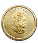 2023 1 Gram Gold Maple Leaf Coin In Maplegram Assay Card, Sealed