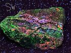 New ListingSphalerite Vein Willemite UV Fluorescent Mineral Franklin NJ #65
