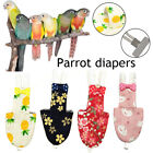 Bird Physiological Pants Pigeon Flight Suits Small Pet Supplies Parrot Diapers