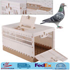 2 Side Doors Folding Bird Cage Pigeon Training Transport Release Carrier Cage