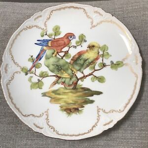 Antique KPM Berlin Porcelain Parrot Bird Decor Iron Cross Mark 8.5'' Plate