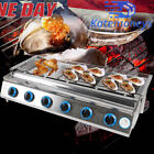 6 Burner Gas BBQ Grill Stainless Steel Barbecue Table Top Grill Outdoor Cooking